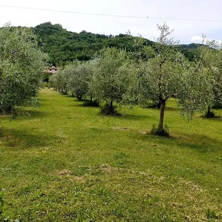דירה In Campagna *